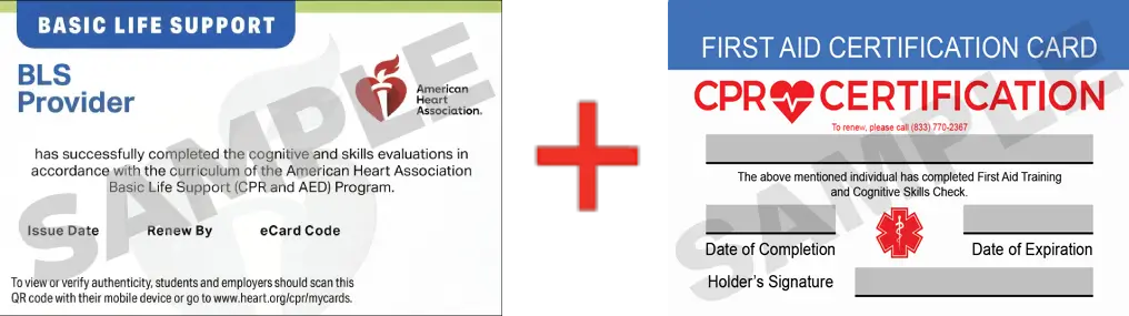 Sample American Heart Association AHA BLS CPR Card Certification and First Aid Certification Card from CPR Certification Charlotte