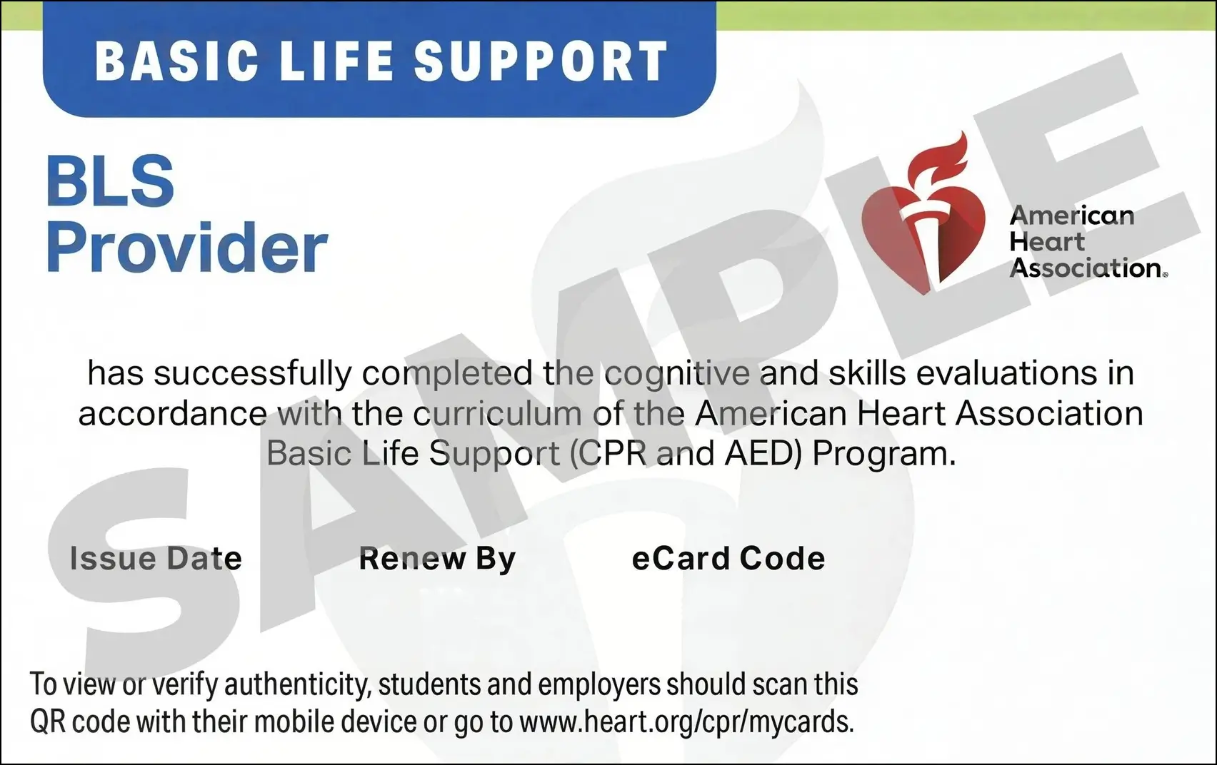 Sample American Heart Association AHA BLS CPR Card Certification from CPR Certification Charlotte